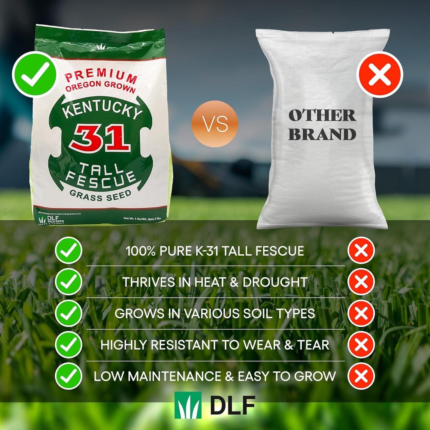 X-Seed Oregon Grown Kentucky 31 Tall Fescue Grass Seed for Sun and Shade Drought-Resistant Lawn for High Traffic, Forage & Turf Grass – Designed for Extreme Durability & Retaining Moisture – 5 lb Bag