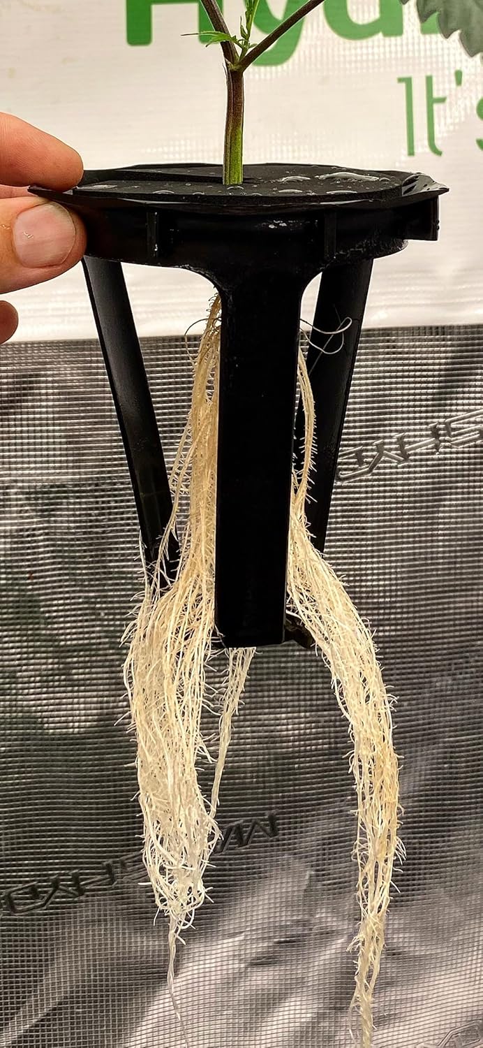 DWC Hydroponics Grow System, 5-Gallon Deep Water Culture, Air Hose, Air Pump, and Air Stone (2)