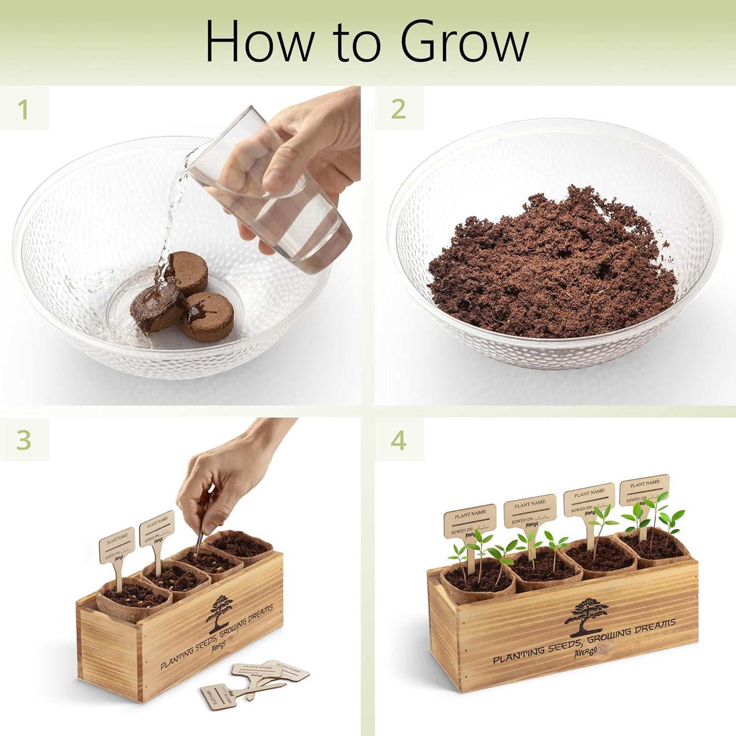 Avergo Bonsai Tree Kit – 4X Unique Japanese Bonzai Trees | Complete Indoor Starter Kit for Growing Bonsai Plants with Tools & Planters – Gardening Gifts for Women & Men