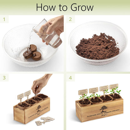 Avergo Bonsai Tree Kit – 4X Unique Japanese Bonzai Trees | Complete Indoor Starter Kit for Growing Bonsai Plants with Tools & Planters – Gardening Gifts for Women & Men