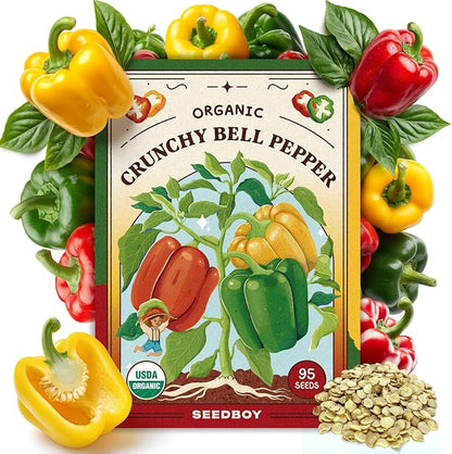 Seedboy Organic Bell Pepper Seeds for Planting Indoor and Outdoor, Non-GMO and USDA Certified Vegetable Seed Packet for Hydroponic Garden Indoor or Planting Outdoors (Bell Peppers)
