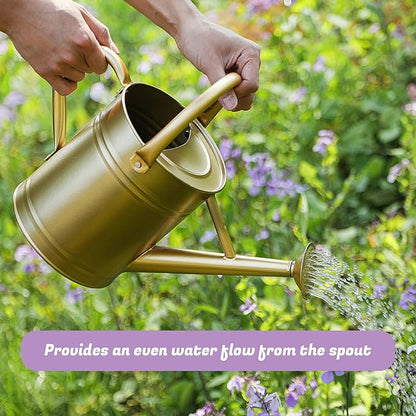 1 Gallon Watering Can for Plants, Watering Cans for Indoor&Outdoor Gardening, Galvanized Steel Watering Pot with Removable Spout, Metal Water Can with Ergonomic Movable Handle(Gold)