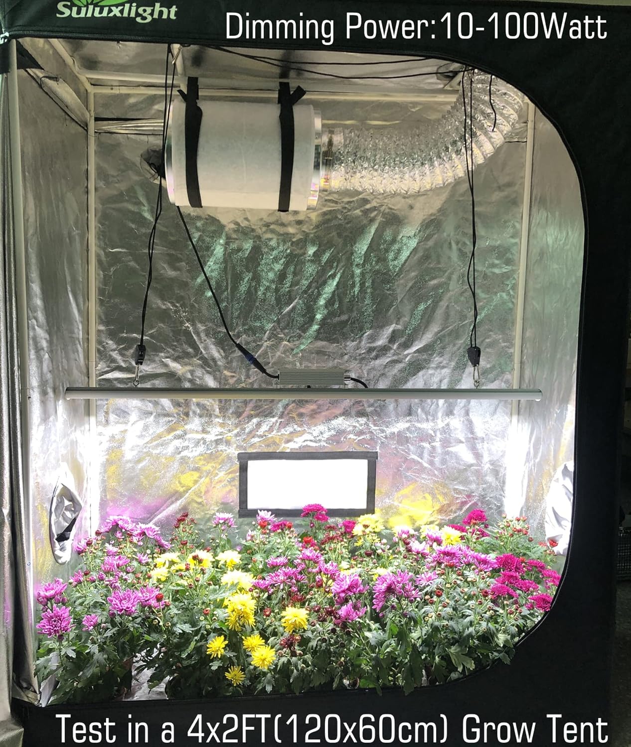 LED Grow Light Lamp for Indoor Plant Seedling Germination Vege Flower Growth,Full Spectrum CRI 90+ High Output White Light CCT 6500K,Isolated Dimming Driver with On/Off Switch,100 Watt,4Feet