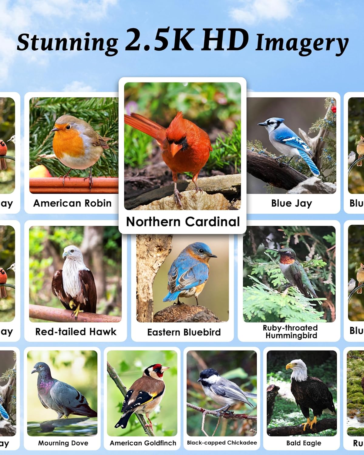 Smart Bird Feeder with Camera - 2.5K HD Bird Feeder Cameras Solar Powered, AI Birds Identification via App WiFi Outdoor Waterproof Birdhouse Watch Night Vision, 4000mAh Battery, Gift for Birdlovers