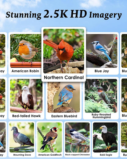 Smart Bird Feeder with Camera - 2.5K HD Bird Feeder Cameras Solar Powered, AI Birds Identification via App WiFi Outdoor Waterproof Birdhouse Watch Night Vision, 4000mAh Battery, Gift for Birdlovers