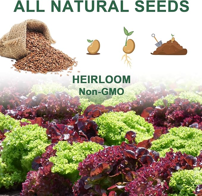 Lettuce Seed Pod Kit, Romaine, Butter Head, Red Sail, Red&Green Leaf, Red Sail Lettuce, Grow Anything Seed Pod Kit Compatible with All Indoor Hydroponics (8-Pod)