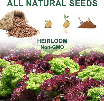 Lettuce Seed Pod Kit, Romaine, Butter Head, Red Sail, Red&Green Leaf, Red Sail Lettuce, Grow Anything Seed Pod Kit Compatible with All Indoor Hydroponics (8-Pod)