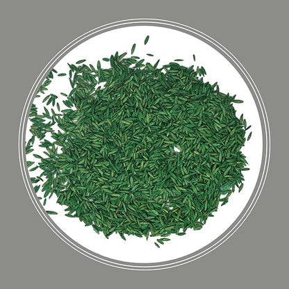 Pennington Contractors Grass Seed Mix Central 7 lb