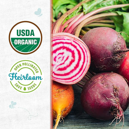 Back to The Roots 100% Organic Heirloom Seeds - Candy Stripe Beets Value Pack (1g Total)