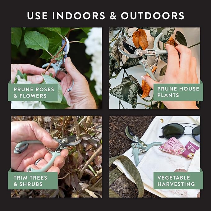 Modern Sprout Hand Pruners - Lightweight Pruning Shears W/Easy Lock- Gardening Scissors - Bypass Sharp Carbon Steel Blade - Rust Resistant - Garden Tools - Reusable Holster - Chartreuse