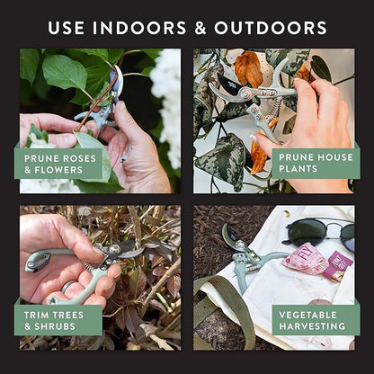 Modern Sprout Hand Pruners - Lightweight Pruning Shears W/Easy Lock- Gardening Scissors - Bypass Sharp Carbon Steel Blade - Rust Resistant - Garden Tools - Reusable Holster - Chartreuse