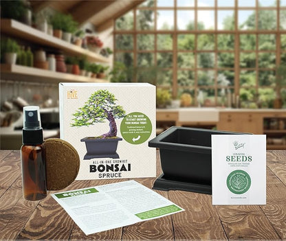 BUZZY Seeds Bonsai Starter Kit, Norway Spruce, Complete Indoor Gardening Gift, DIY Mini Tree Project, Soothing Indoor Hobby for Home or Office, Fun Stocking Stuffer, Housewarming Present