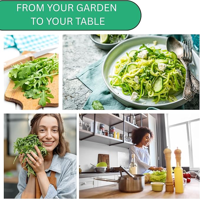 Woods Creek Seeds: Arugula Astro Seeds for Planting - Over 1,300 Heirloom, Non-GMO Arugula Seeds for Planting - Fast-Growing Astro Seed Pack for Gardening Indoors or Outdoors - Ideal for Green Salad