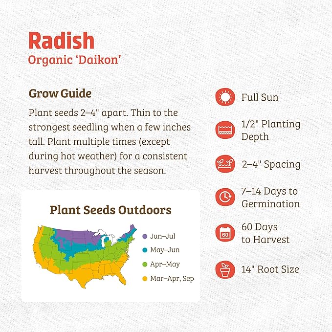 Back to The Roots 100% Organic Heirloom Seeds - Daikon Radish Value Pack (2.8g Total)