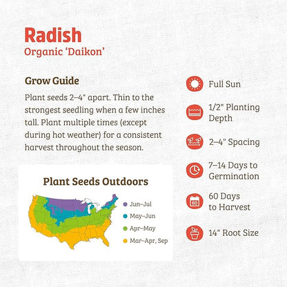 Back to The Roots 100% Organic Heirloom Seeds - Daikon Radish Value Pack (2.8g Total)
