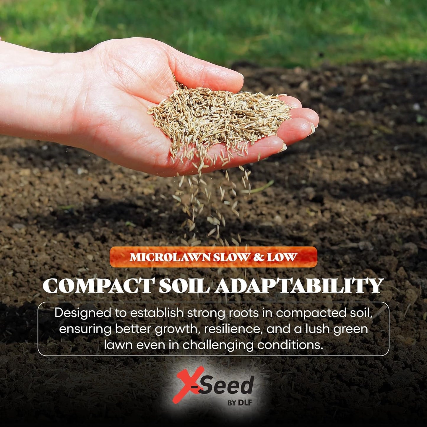 X-Seed Micro-Lawn Slow & Low Grass Seed for Cool Season Lawns, No Mow Natural Areas, Sun to Full Shade, Slow and Low Growing Micro Clover, Creeping Red Fescue, Intermediate Ryegrass, Starter Bag, 5LB