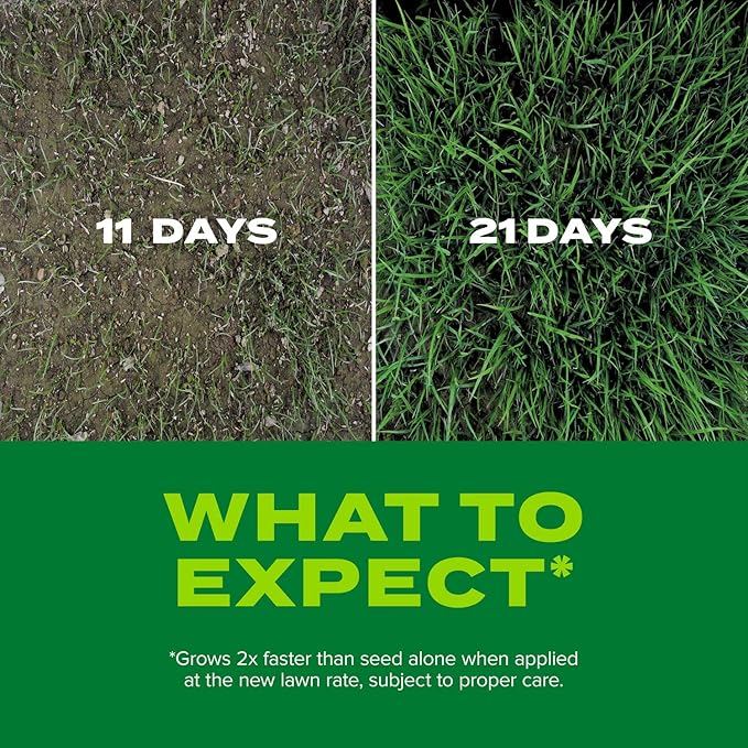 Scotts Turf Builder Rapid Grass Tall Fescue Mix, Combination Grass Seed and Fertilizer, Grows Green Grass in Just Weeks, 5.6 lbs.
