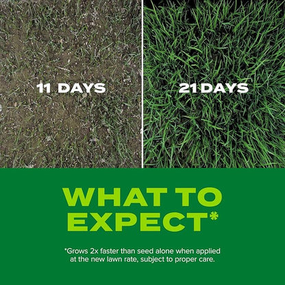Scotts Turf Builder Rapid Grass Tall Fescue Mix, Combination Grass Seed and Fertilizer, Grows Green Grass in Just Weeks, 16 lbs.
