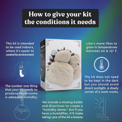 Lion's Mane Mushroom Grow Kit | USDA Certified Organic | Grow Your Own Delicious Gourmet Mushrooms at Home