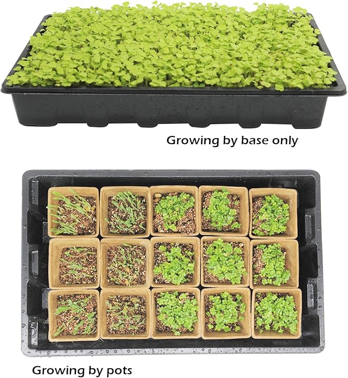 Seed Starter Kit with 100 Peat Pots for Seedlings Seed Starter Tray, Including 100 Square Biodegradable Seed Starter Pods, 5 Plastic Growing Trays with Water Strainer& 20 Plant Labels