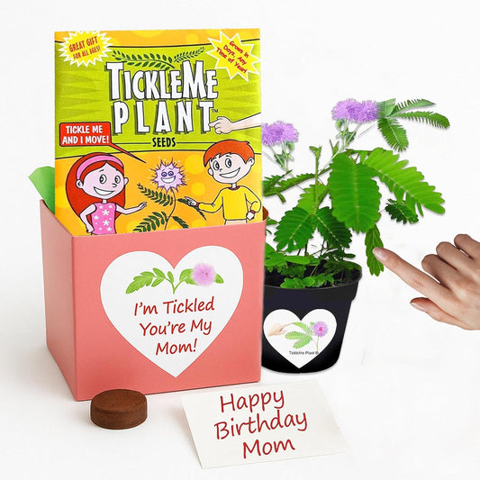 Happy Birthday Mom TickleMe Plant Gift Box Set to Grow A Touch-Sensitive Shy Plant That Closes Its Leaves When You Tickle Or Blow A Kiss | Fun Interactive Grow Kit with Seeds, Pot, Soil, Instructions