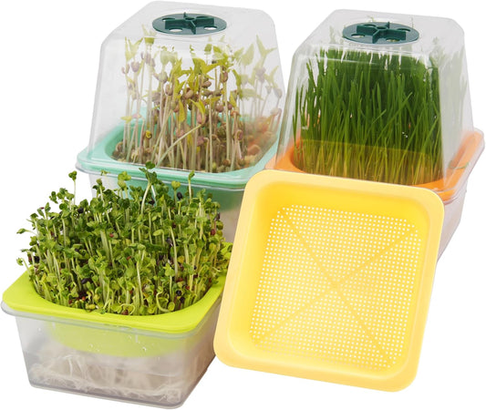 4 Pack Microgreen Growing Trays, Sprouting Tray with Humidity Dome, 1.2 mm Small Mesh Holes, BPA Free, Sprouter Kit for Growing Mirco Seeds, Like Broccoli, Alfalfa, Radish, Clover - Clear Base