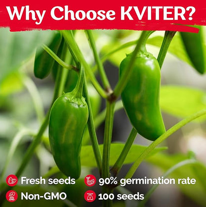 KVITER 100 Grande Jumbo Jalapeno Seeds for Planting (Capsicum Annuum) – Ultimate Stuffer Heirloom Pepper, Extra Large Hot Jalapeno Pepper Seeds – Vegetable Seeds for Outdoor & Indoor Garden