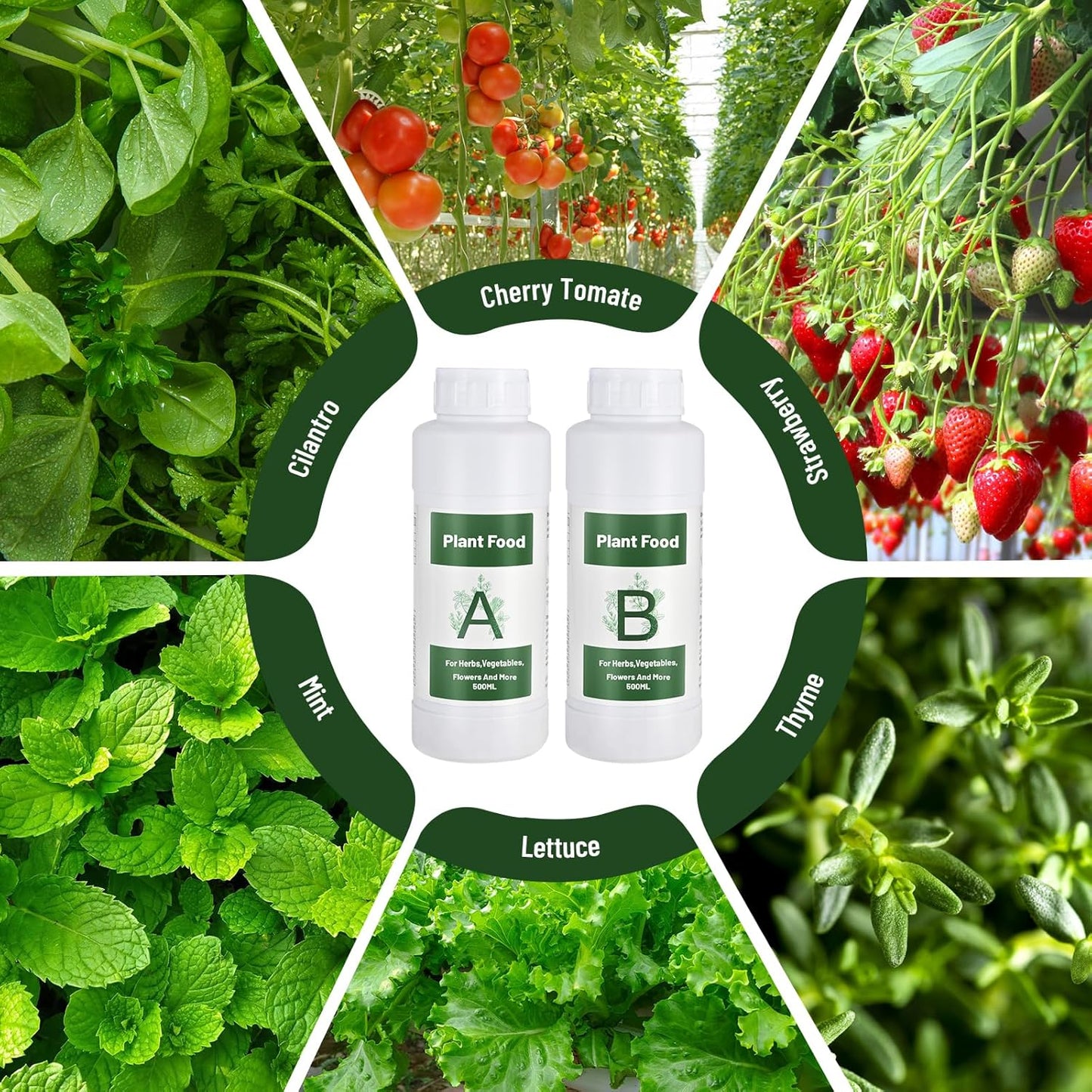 1000ml Hydroponic Nutrients A&B for Aerogarden Plant Food with 2 Measuring Cups - Fertilizer for Indoor Hydroponics Garden & Growing Vegetables, Fruits, Flowers (1000ml)