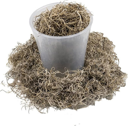 Premium Natural Spanish Moss | Natural Preserved - Great Ground Cover - Filler for Potted Plants - by GARDENERA - 2 Quart Bag