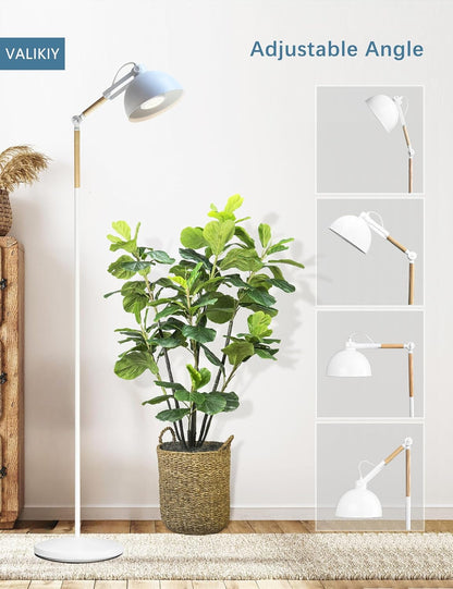 LED Grow Light for Indoor Plants, 20W Adjustable Standing Grow Lamp with Rotatable Head, Foot Switch & External Timer, Full Spectrum, Energy-Efficient & 97+ CRI for Thriving, Lush Growth