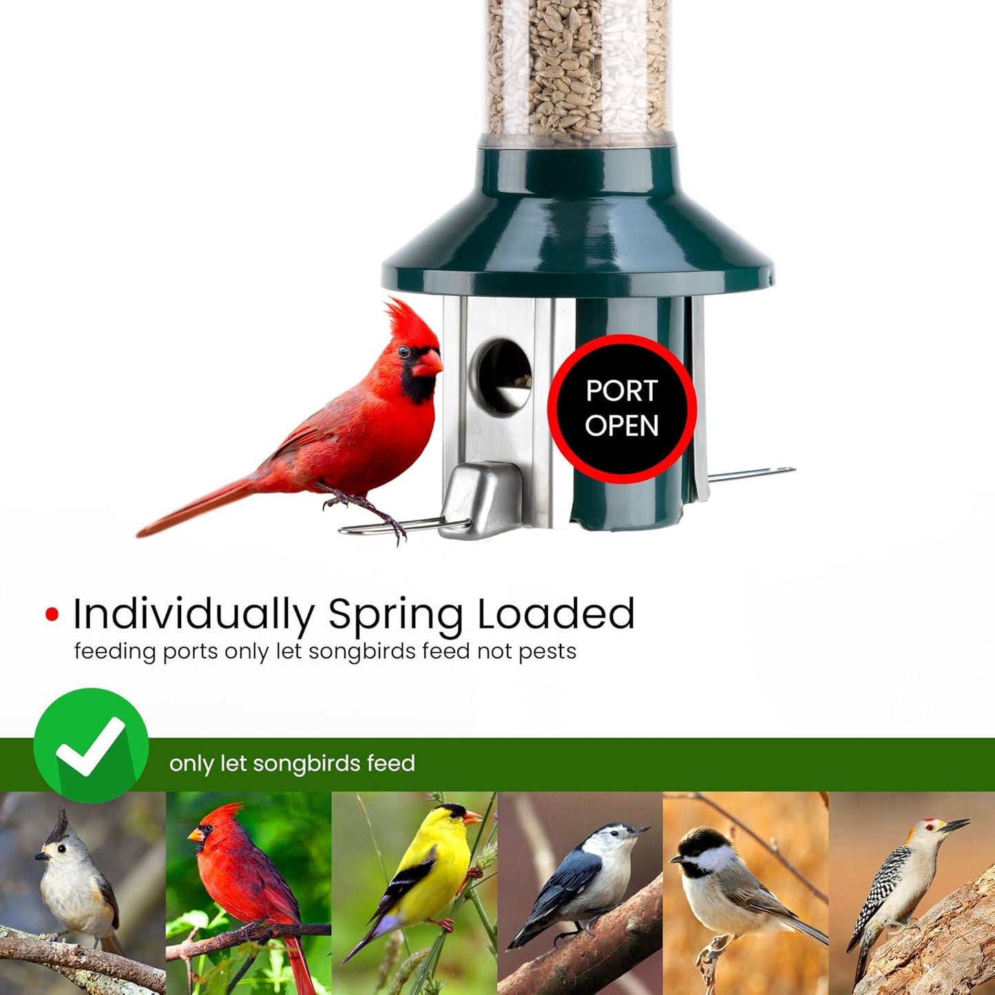 Roamwild PestOff 2.0 Squirrel Proof Wild Bird Feeder Mixed Seed Sunflower Heart Version - GREEN - HUGE 4LBS SEED CAPACITY – 26”x8”x8” (w/hanger)