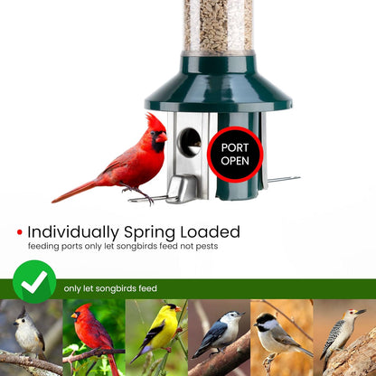 Roamwild PestOff 2.0 Squirrel Proof Wild Bird Feeder Mixed Seed Sunflower Heart Version - GREEN - HUGE 4LBS SEED CAPACITY – 26”x8”x8” (w/hanger)