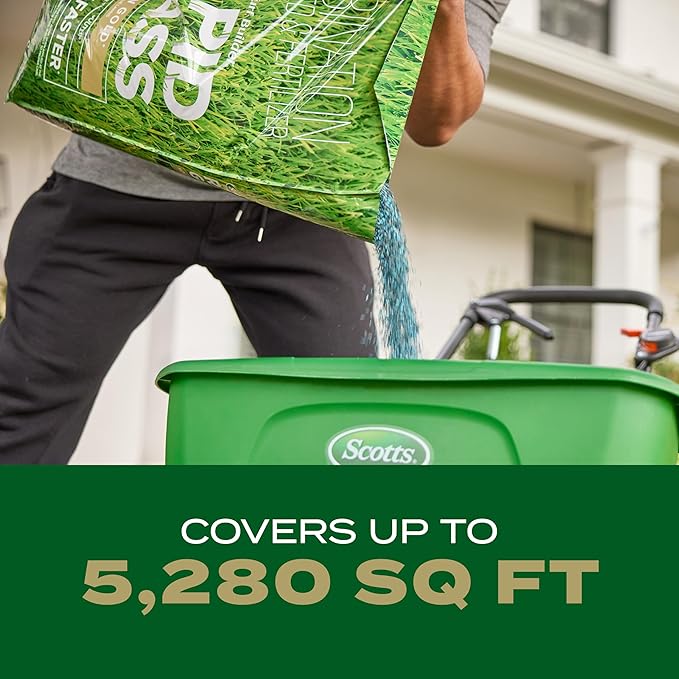 Scotts Turf Builder Rapid Grass Southern Gold Blend for Tall Fescue Lawns, Combination Seed and Fertilizer, 16 lbs.