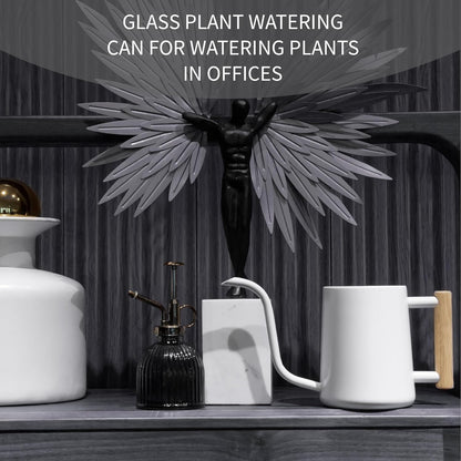 Watering can Indoor Plants,Indoor Watering Can for Plant,35 oz/1000 ml Stainless Steel Watering can Long Spout with Small Vintage Glass Plant Spray Bottle(White)