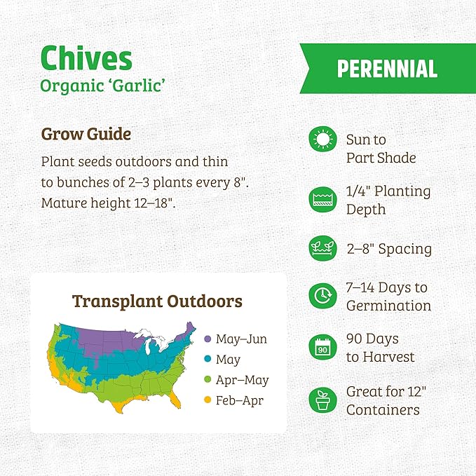 Back to The Roots 100% Organic Heirloom Seeds - Chives Value Pack (280mg Total)