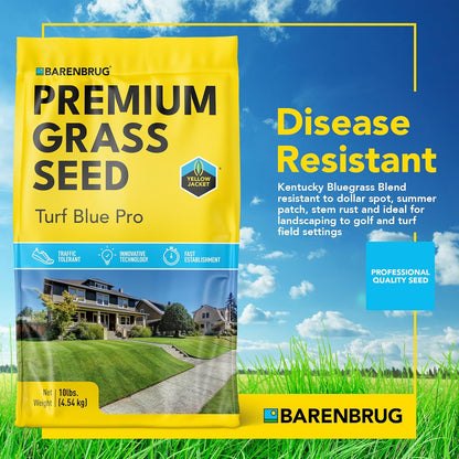 Barenbrug Turf Blue Pro Kentucky Bluegrass Lawn Seed with Yellow Jacket Seed Coating, All-Season Durable Grass Mix for Lawns, 10-lb. Bag
