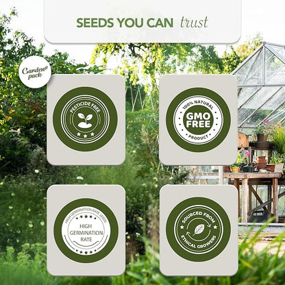 Garden Pack Seeds Pouch - 50 Varieties of Herb, Flower & Vegetable Seeds for Planting - 25,000 Non GMO Heirloom Seeds - Garden Seeds for Vegetable Garden