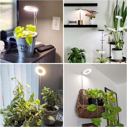Grow Lights for Indoor Plants, Full Spectrum Plant Lights for Indoor Growing with with 3/9/12H Timer, 3 Color Modes, 10 Brightness, 6.5"-26" Height Adjustable Small Grow Light, 1 Pack(3.4in)