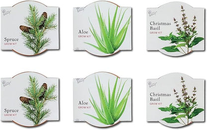 BUZZY Seeds Terracotta Mini Grow Pots | Herb, Plant, Flower Starter Kit for Kids & Adults | Assorted 6-Pack, Radiant Collection | Guaranteed to Grow | Best Indoor Grow Your Own Plant Gardening Gift