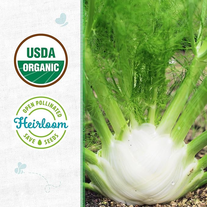 Back to The Roots 100% Organic Heirloom Seeds - Fennel Value Pack (800mg Total)