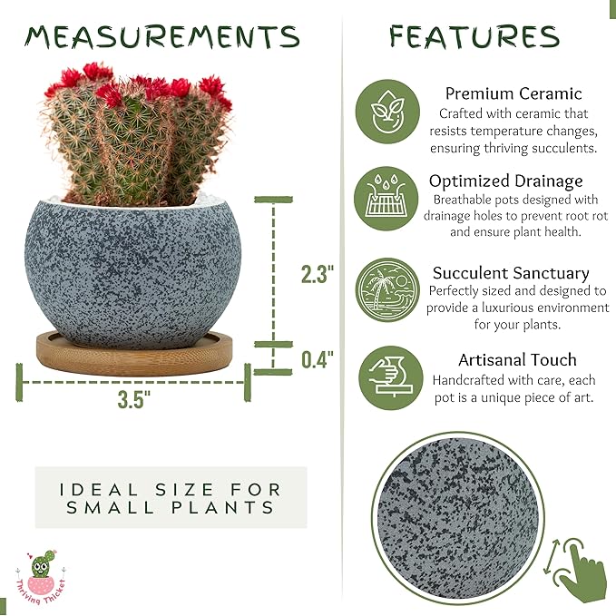 3 inch Ceramic pots for Plants, Small Succulent Pots Set with Drainage, 6 Pack Flower Pot for Indoor Plant, Planters for Little or mini Cactus 2 inches Plants