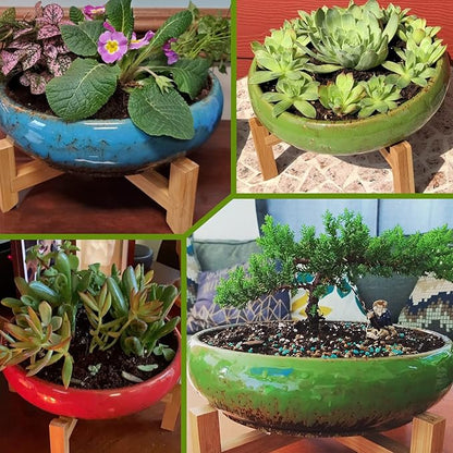 ARTKETTY Succulent Pots - 10 Inch Ceramic Bonsai Pots with Drainage Stand, Large Shallow Planters for Indoor Plants Glazed Cactus Flower Planter Container Bowl