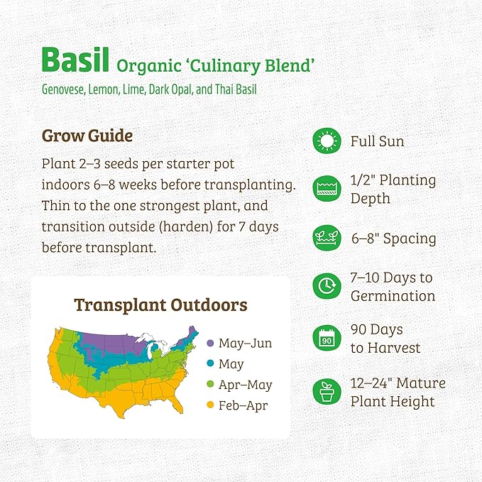 Back to The Roots 100% Organic Heirloom Seeds - Heirloom Basil Blend Value Pack (600mg Total)