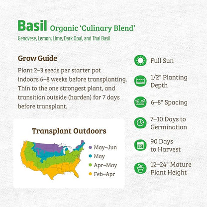 Back to The Roots 100% Organic Heirloom Seeds - Heirloom Basil Blend Value Pack (600mg Total)