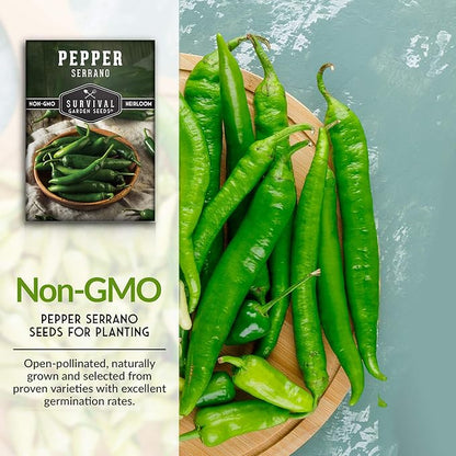 Mexican Serrano Pepper Seeds for Planting | Fresh Hot Chili & Green Hot Pepper Seeds – Hot Heirloom Non‑GMO Variety for Sauce, Pickling & Salsa – Survival Garden Seeds (1 Pack)