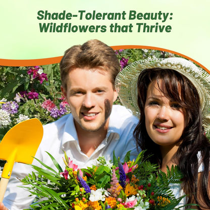 Outsidepride Partial Shade Wild Flower Seed Mix for All States - 1 lb. Premium Blend of Annual & Perennial Wildflowers, Perfect for Partial Shade Areas, & Outdoor Planting for Gardens & Lawns