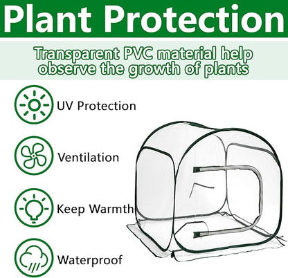 DECOHS 31.5" x 31.5" x 31.5" Mini PVC Pop Up Greenhouse, Transparent Pop Up Grow Greenhouse Plant Cover, Small Gardening Plant Flower Warm House for Cold Frost Protection Indoor & Outdoor
