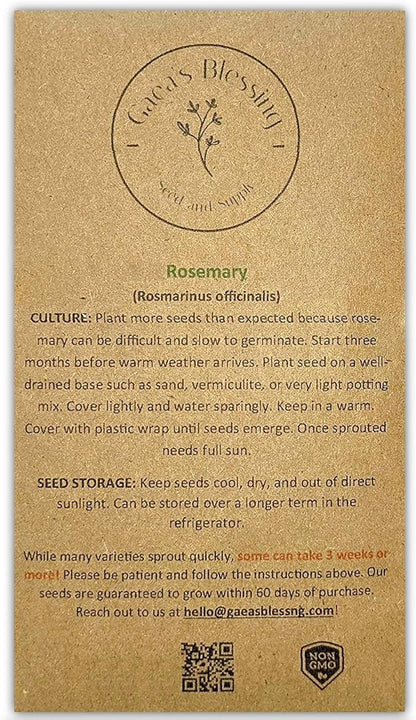 Gaea's Blessing Seeds - Rosemary Seeds - Heirloom Non-GMO Seeds with Easy to Follow Instructions 97% Germination Rate (Single Pack)