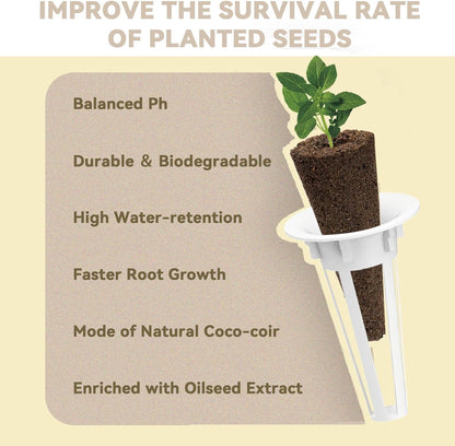 inbloom Culinary Herbs Seed Pod Kit for Hydroponics Growing System, 12 Pods (350+ Seeds with Basil, Parsley, Shis0, Liquorice, Mint, Cilantro, and Chic0ry)