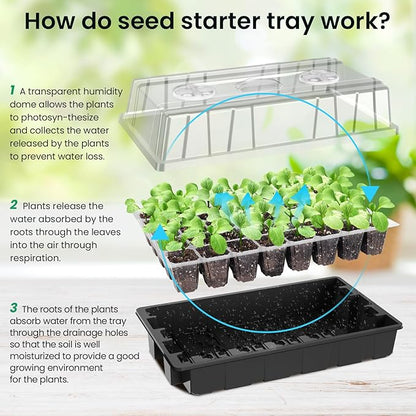 MIXC Seed Starter Tray with Lights, 2 Packs Mini Propagator Plant Grow Kit Greenhouse with Humidity Vented Domes and Base for Seeds Starting, Black